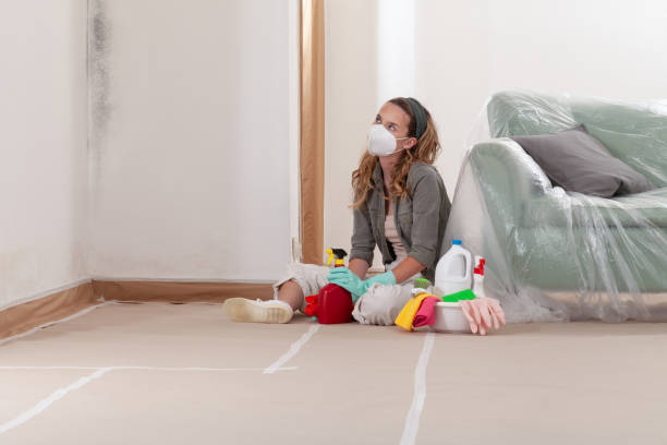 Reliable Commercial Mold Remediation contractor in Seminole, FL by WQB Mold Removal
